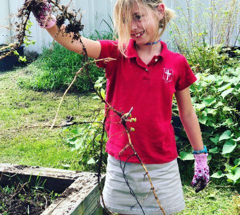 Gardening at Coast Episcopal School Long Beach Gulfport Area Mississippi Gulf Coast