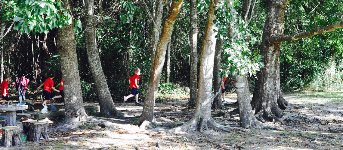Outdoors at Coast Episcopal School Long Beach Gulfport Area Mississippi Gulf Coast